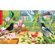OISEAUX : AGENDA 2024 / Portraits et chants d'oiseaux au fil des mois