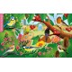 Les oiseaux qui nous entourent  (Livre + QRcode)