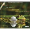 Chants des grenouilles, rainettes et crapauds de France (CD audio)