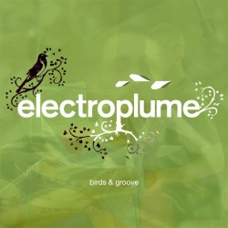 CD BIRDS & GROOVE (Electroplume/Christophe Piot)