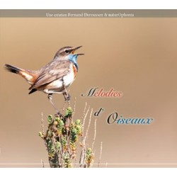 CD Mélodies d'oiseaux