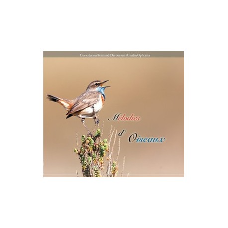 Mélodies d'oiseaux (1 CD+livret)