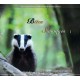 Bêtes sauvages (CD - Fernand Deroussen)