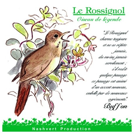CD Rossignol, oiseau de légende