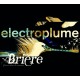 BRIERE, Groove dans les marais (Electroplume)