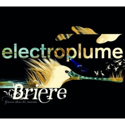 CD BRIERE, Groove dans les marais (Electroplume)