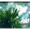 Guyane... sous la canopée (CD - Fernand Deroussen)
