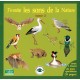 J'écoute les sons de la nature tome 2 (CD)