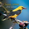 Oiseaux solistes vol.2 (CD boîtier cristal)