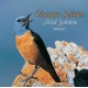 CD Oiseaux solistes vol.1