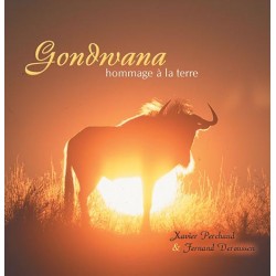 CD Gondwana