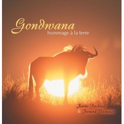 Gondwana (CD - Xavier Perchaud/Fernand Deroussen)