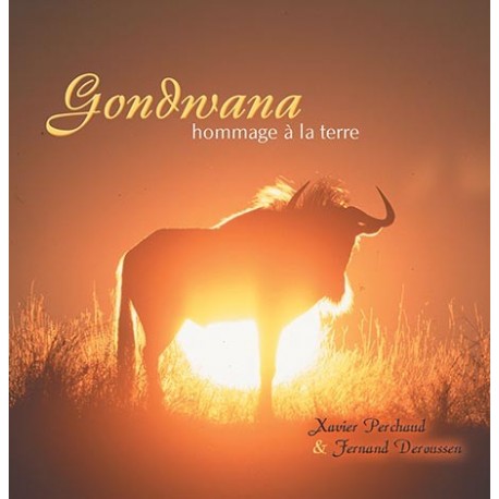 CD Gondwana