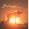 CD Gondwana