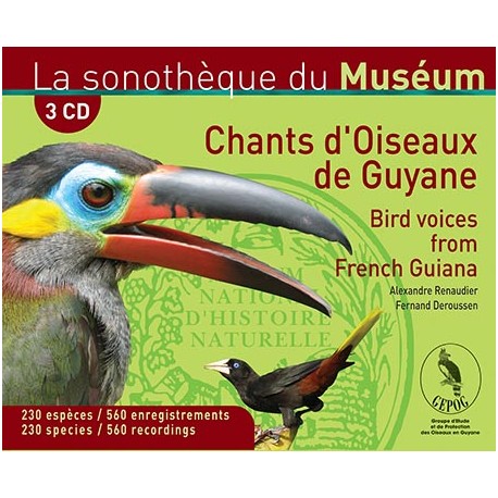 Coffret Chants d'oiseaux de Guyane (3 CD)