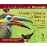 Coffret Chants d'oiseaux de Guyane (3 CD)