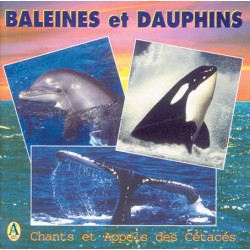 CD Baleines et dauphins