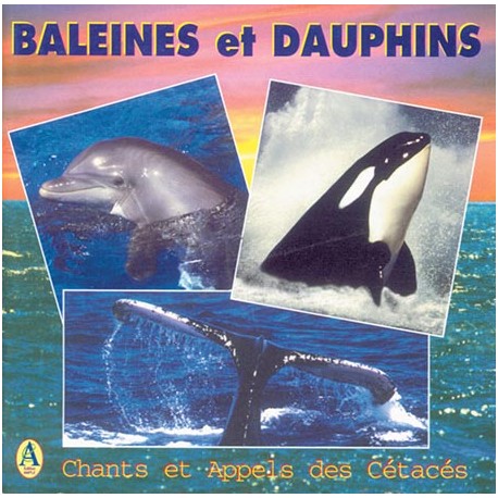 CD Baleines et dauphins