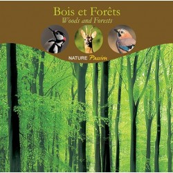 CD Bois et Forêts