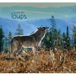 CD La voix des loups