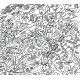 Bestioles (CD - Jean Poinsignon)