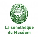 - - Cd Muséum