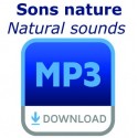 - - Mp3 sounds nature