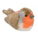 Peluches oiseaux