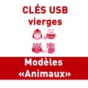 CLÉS USB VIERGES