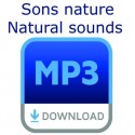  - - Nature sounds