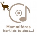 - - Cd Mammifères