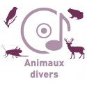 - - Cd Animaux divers