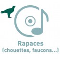 - - Cd Rapaces